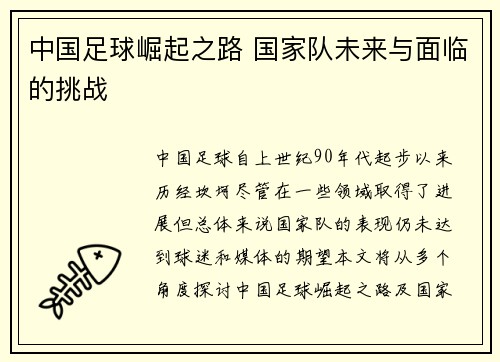 中国足球崛起之路 国家队未来与面临的挑战